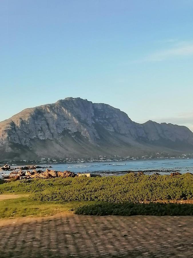 Just Chill Betty'S Bay Διαμέρισμα Εξωτερικό φωτογραφία